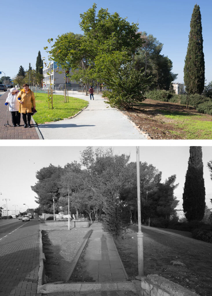 יער עירוני