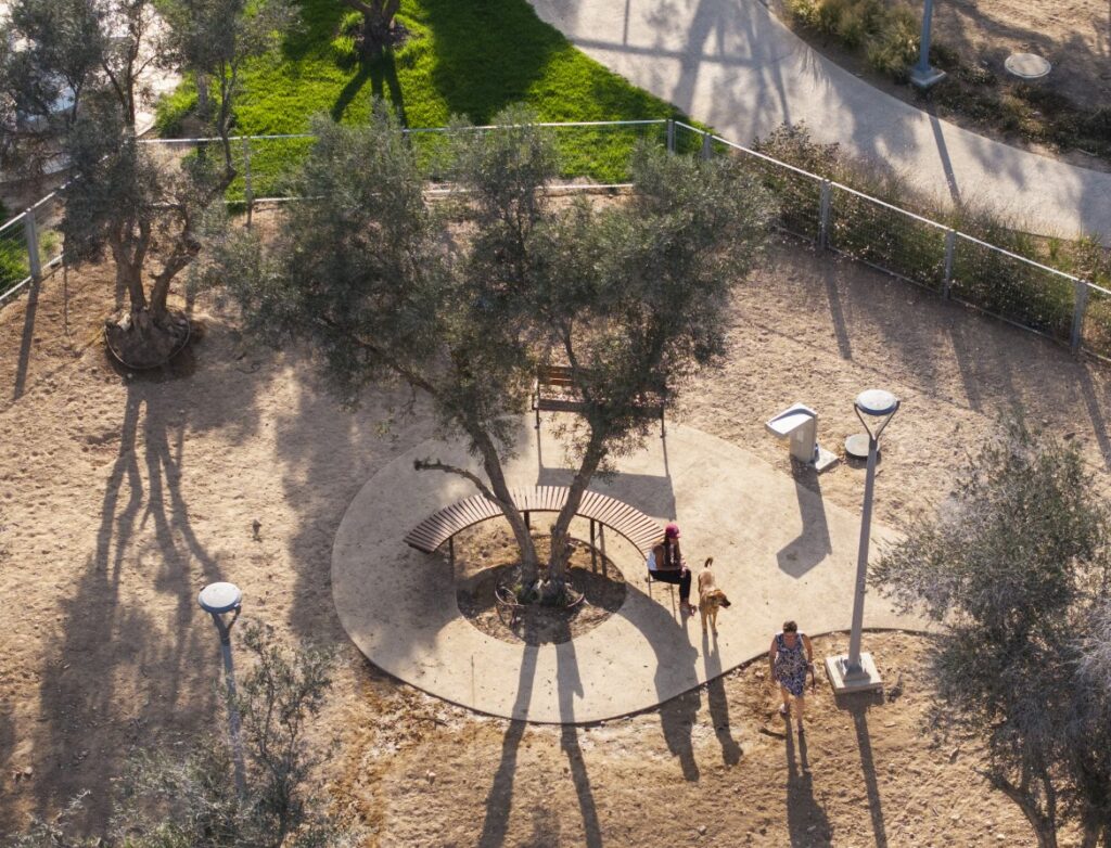 גן הזיתים
